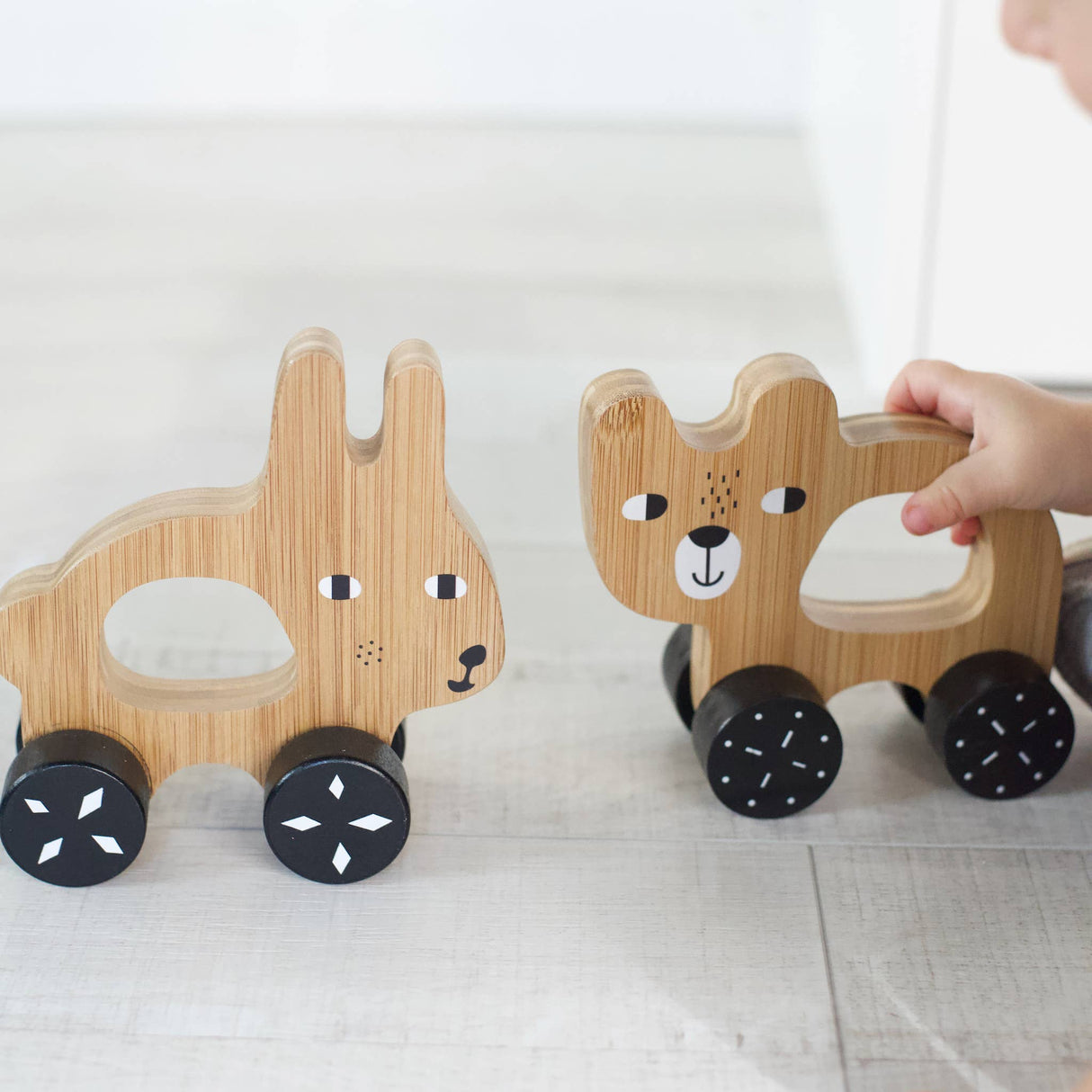 Push Toy