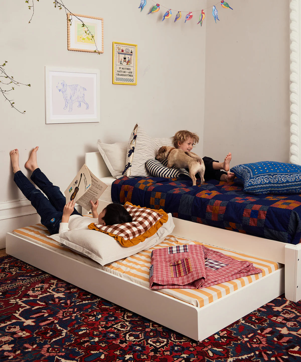 Perch Trundle Bed & Ladder Conversion Kit