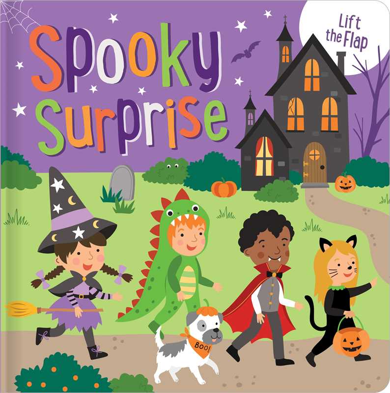 Spooky Surprise: Lift-the-Flap Board Book by