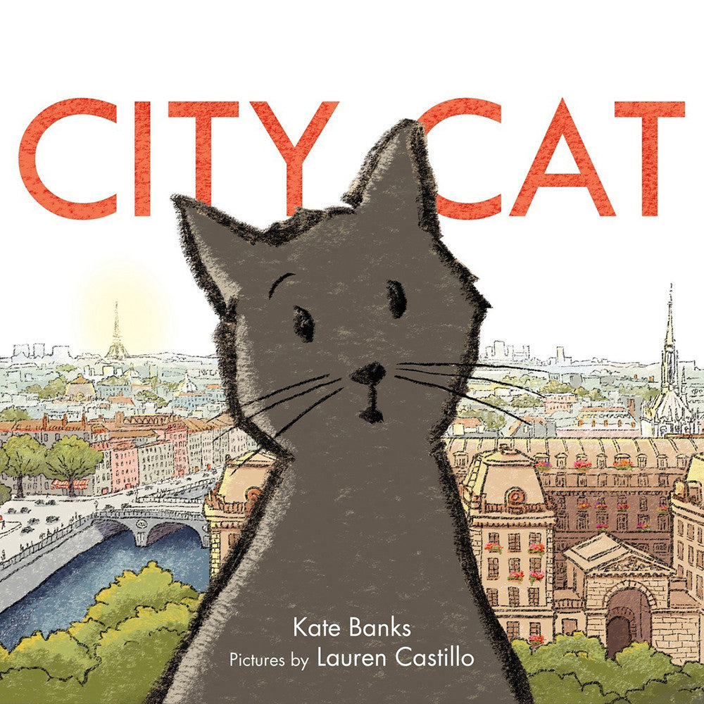 City Cat - Tadpole