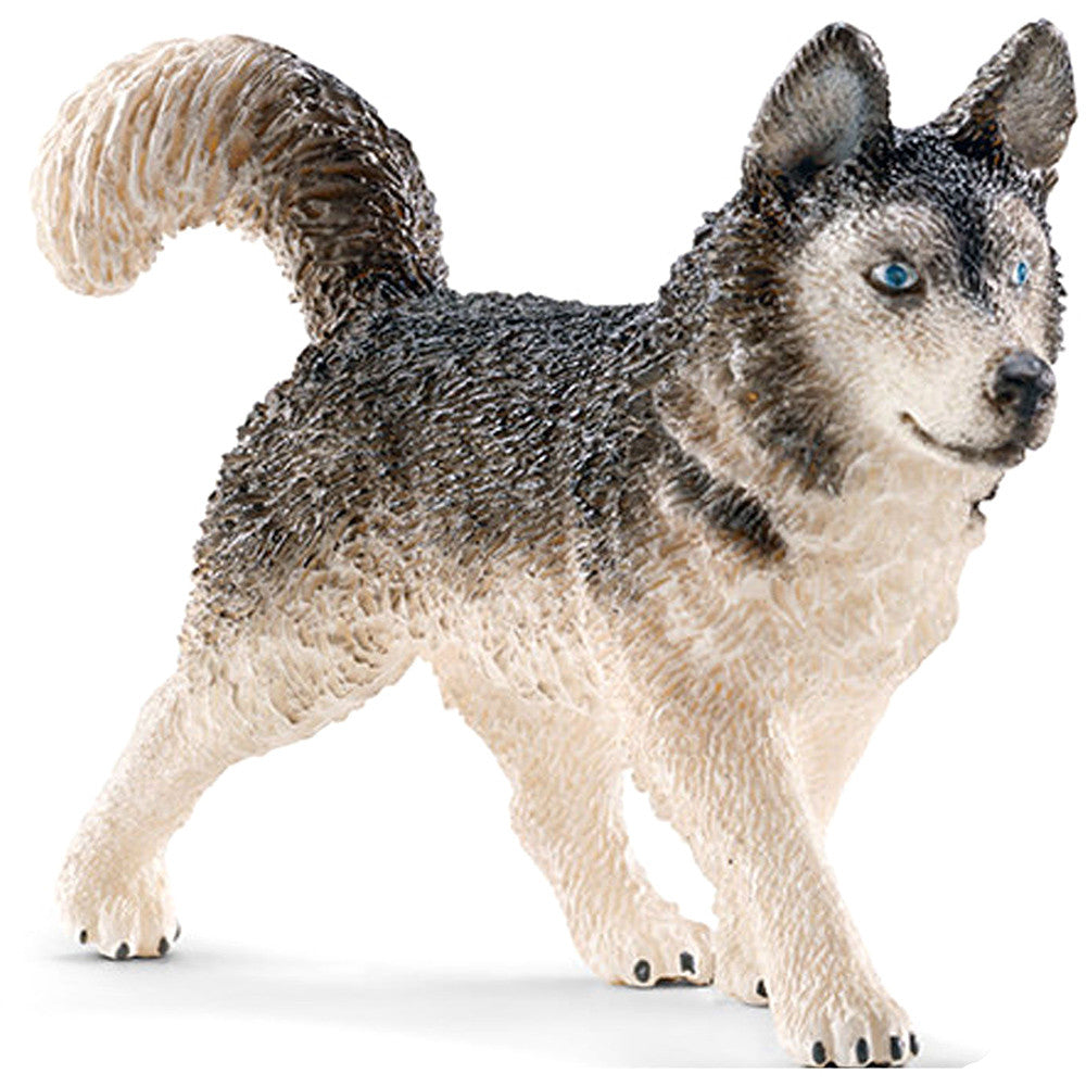 Schleich Husky - Tadpole
