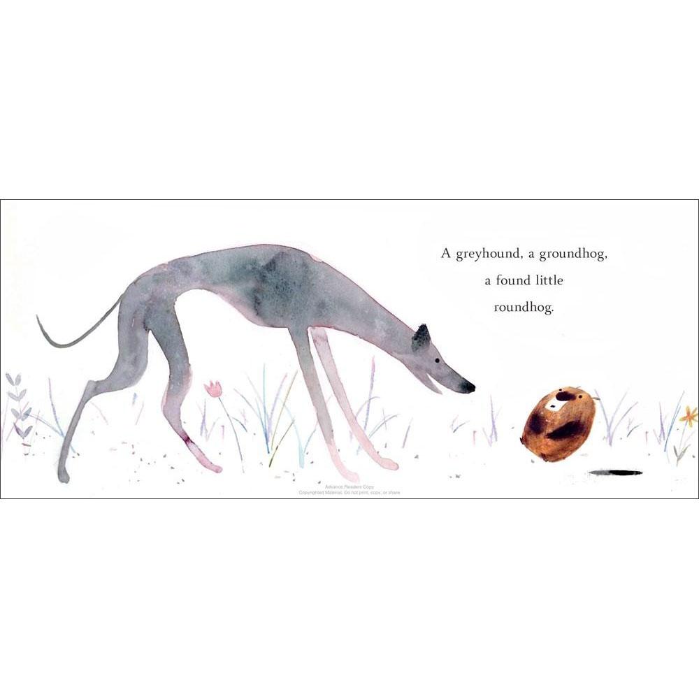 A Greyhound, A Groundhog - Tadpole