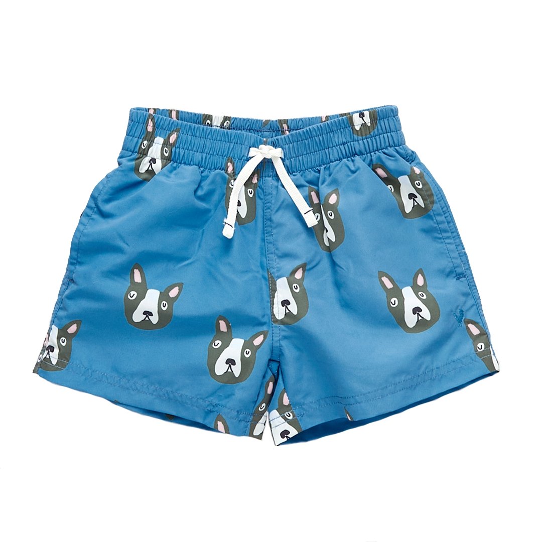 BOYS SWIM TRUNK - BLUE BOSTON TERRIER - Tadpole