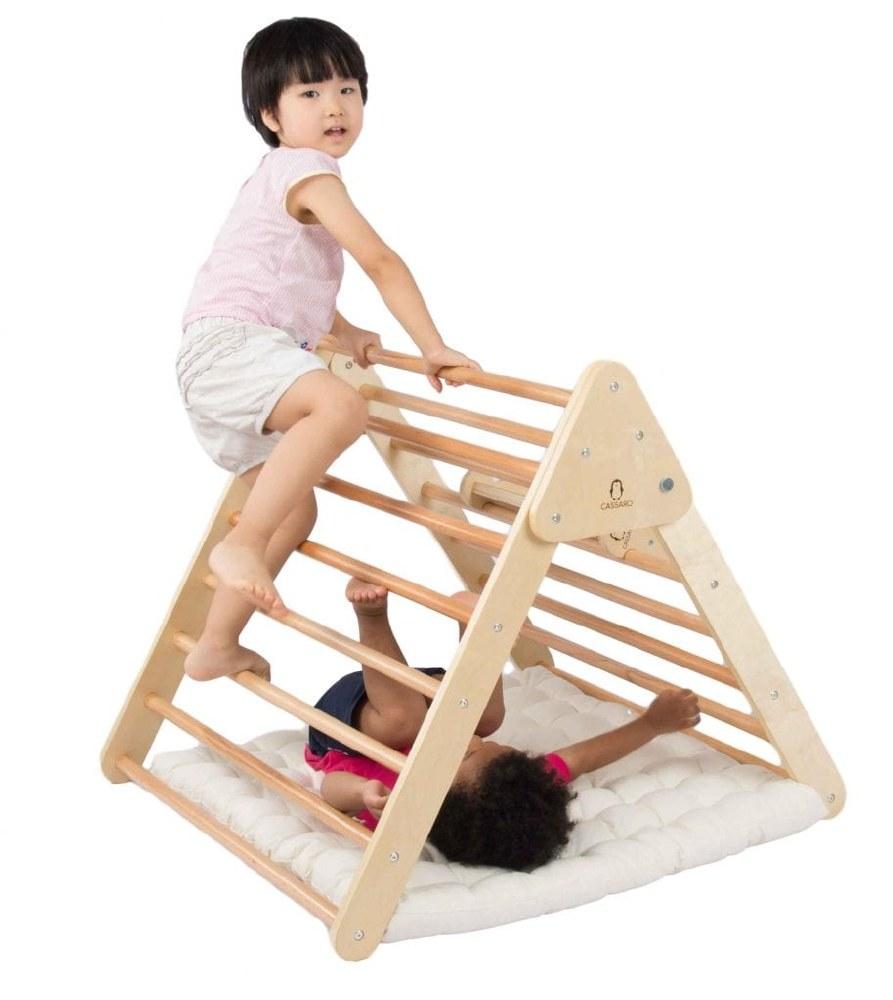 Cassaro Kids Foldable Climbing Triangle - Tadpole