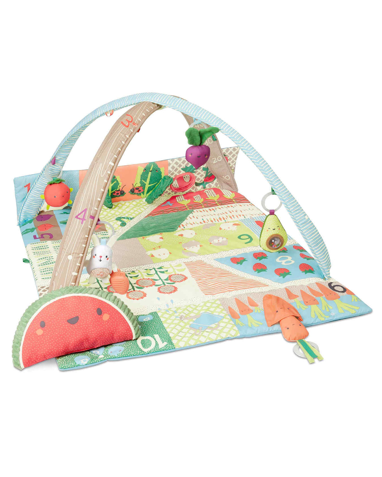 Skip Hop Farmstand Grow & Play Activity Gym - Tadpole