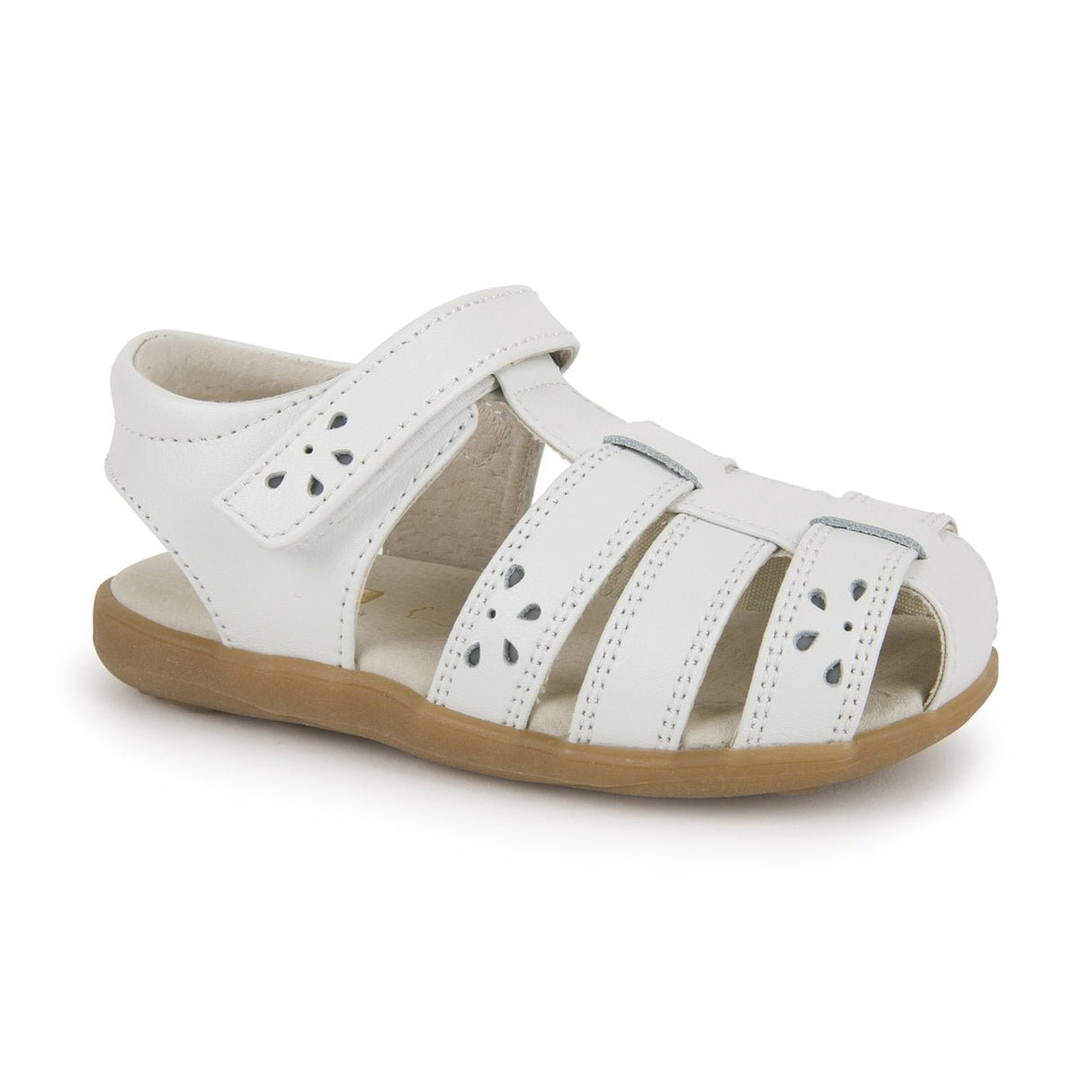 Gloria IV - White - Tadpole