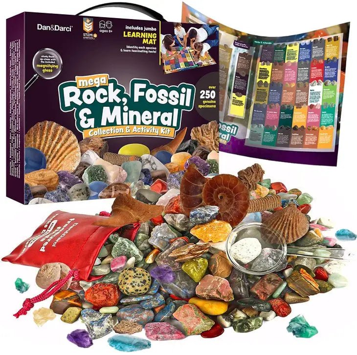 Mega Rock, Fossil & Mineral Collection - Tadpole