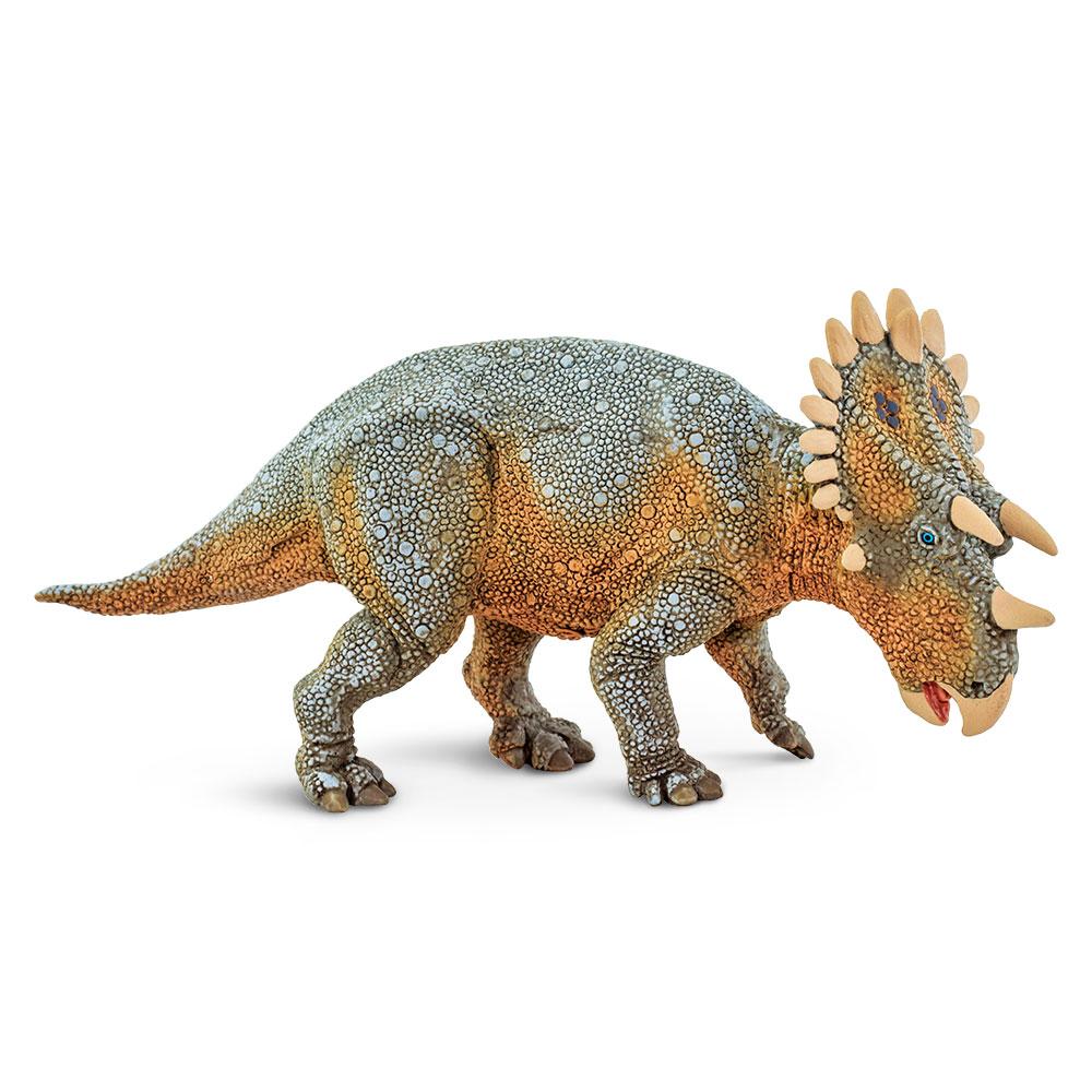 Regaliceratops - Tadpole