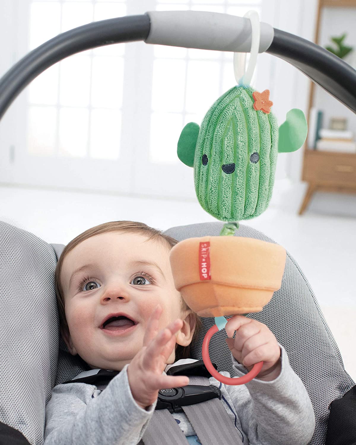 Skip Hop Farmstand Cactus Jitter Toy - Tadpole