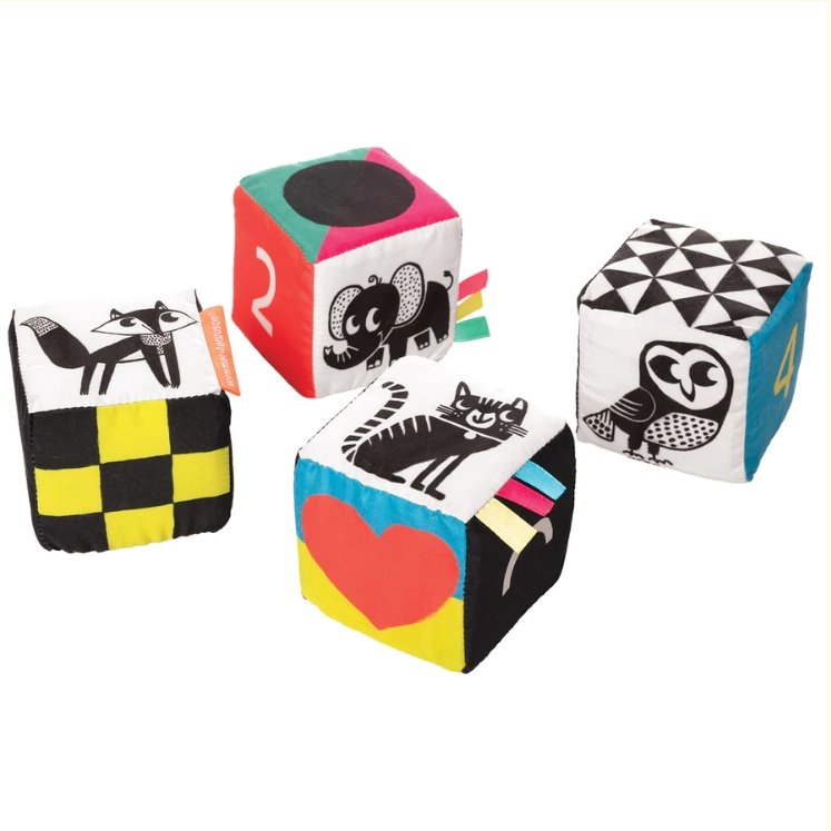 Wimmer Ferguson Mind Cubes - Tadpole