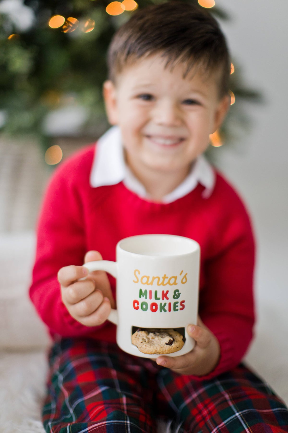 Christmas Mug with Cookie Slot, Santa's Milk & Cookies