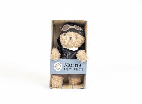 Plush Pilot Bear Gift Pack