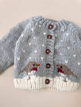 Robin Cardigan Baby Winter Holiday Christmas Sweater Gift