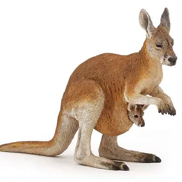 Kangaroo with Joey