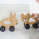 Push Toy