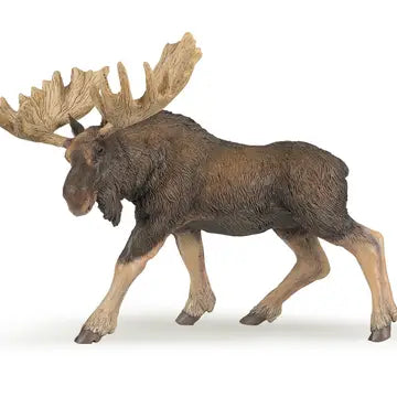 Moose