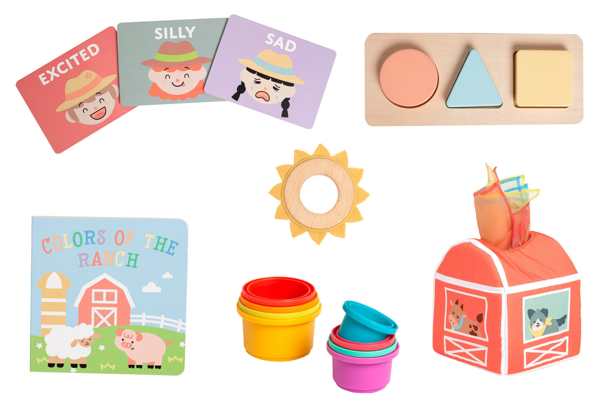 6-12 Months Learning Kit, Montessori Developmental Toys