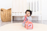 6-12 Months Learning Kit, Montessori Developmental Toys
