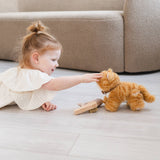 Munchkin & House (cat)