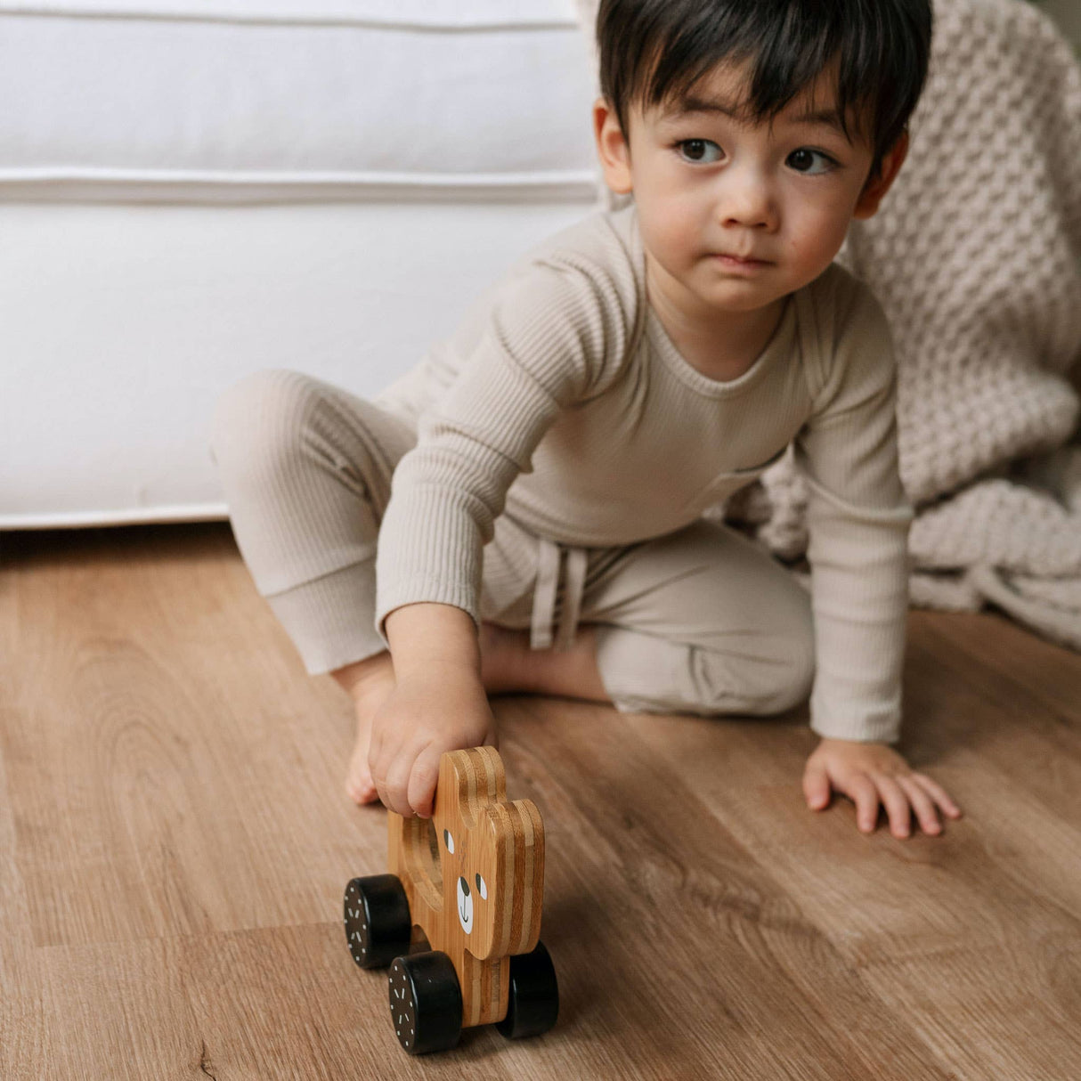 Push Toy