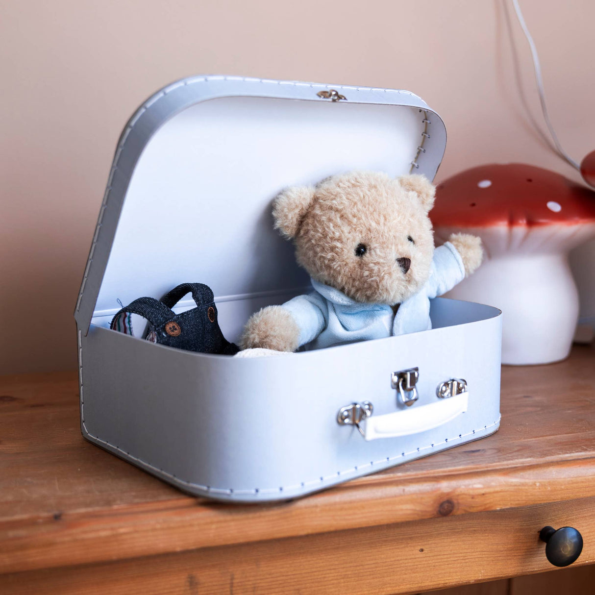 Morris With Clothes In A Case