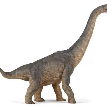 Brachiosaurus
