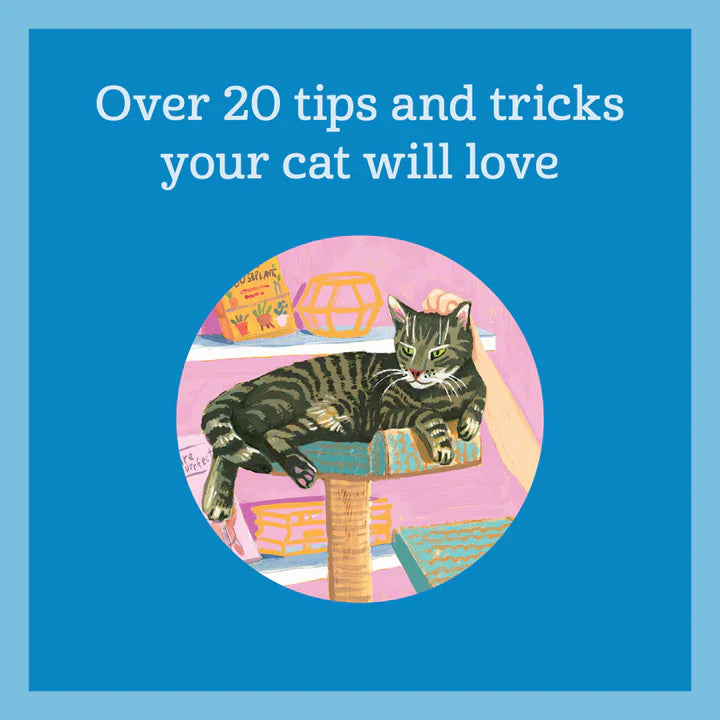 How To Pet A Cat