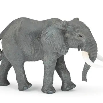 Large African Elephant