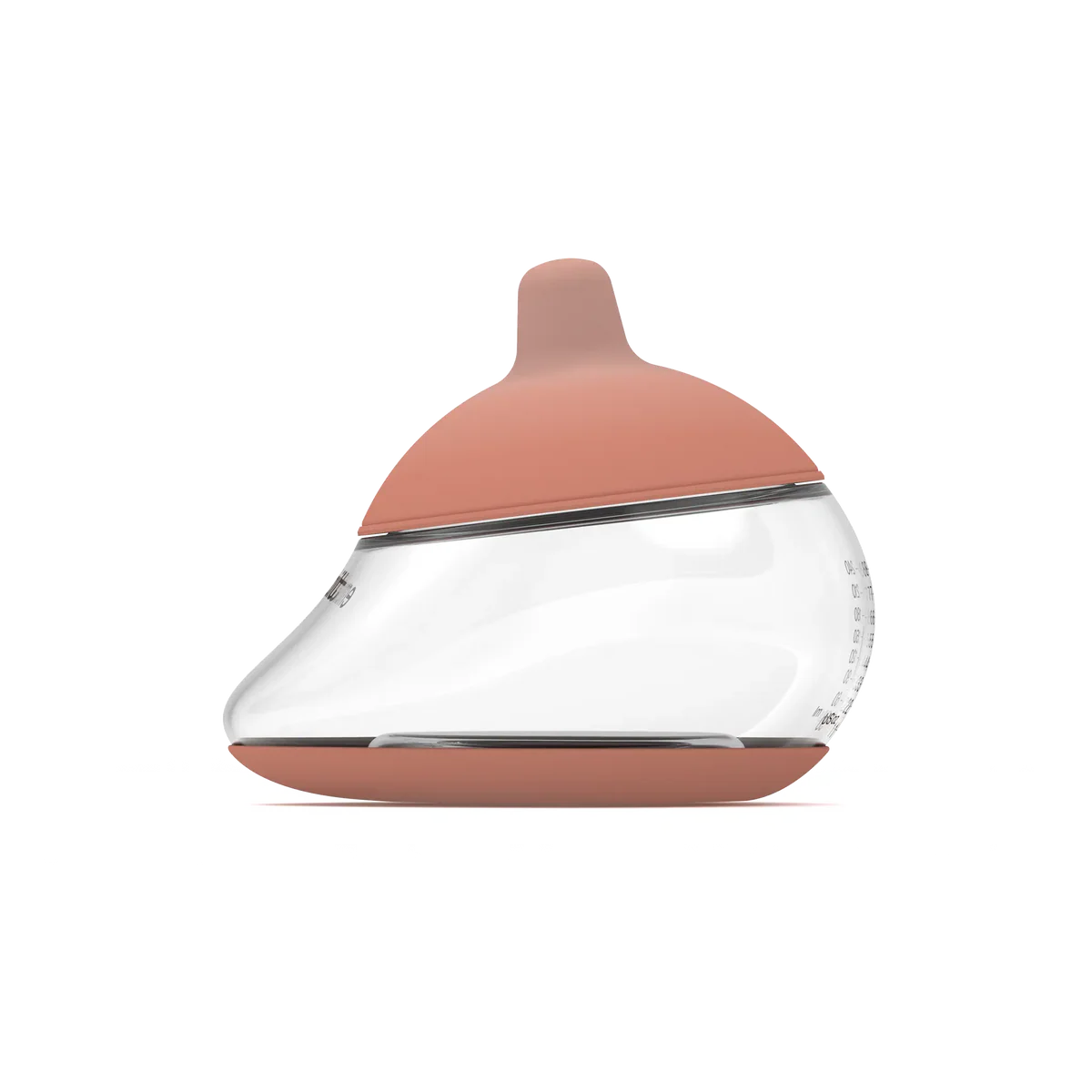 The Anatomy Bottle