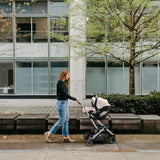 UPPAbaby Mesa V3 Infant Car Seat + Base