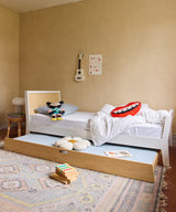 Sparrow twin bed with clean lines and modern style, perfect for kids’ rooms
