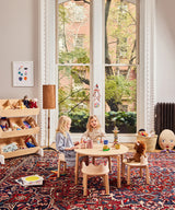 Toy Store - Birch