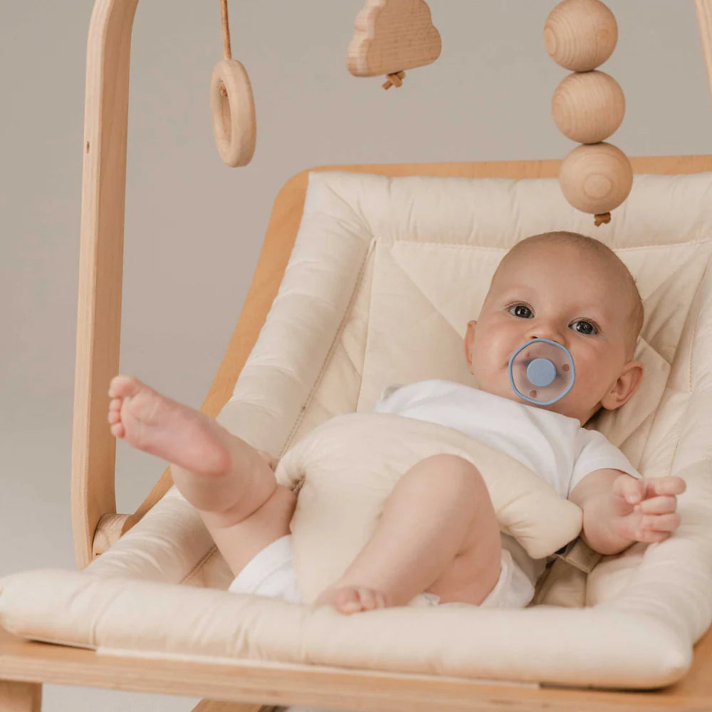 The Emulait Pacifier 2-Pack - Retail