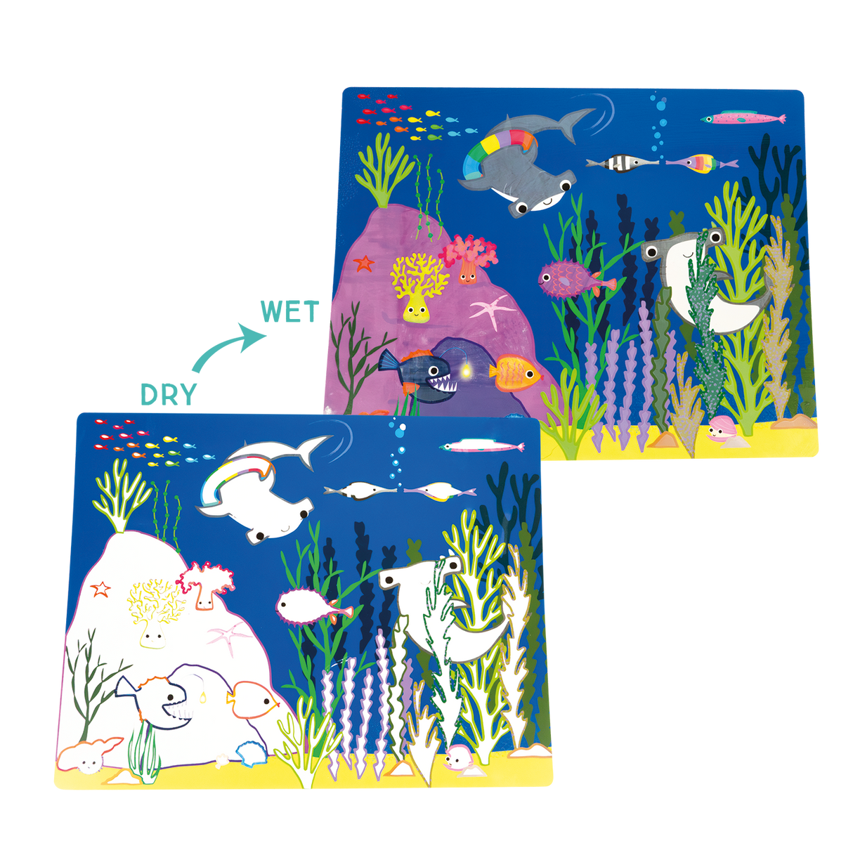 Magic Water Placemats - Ocean