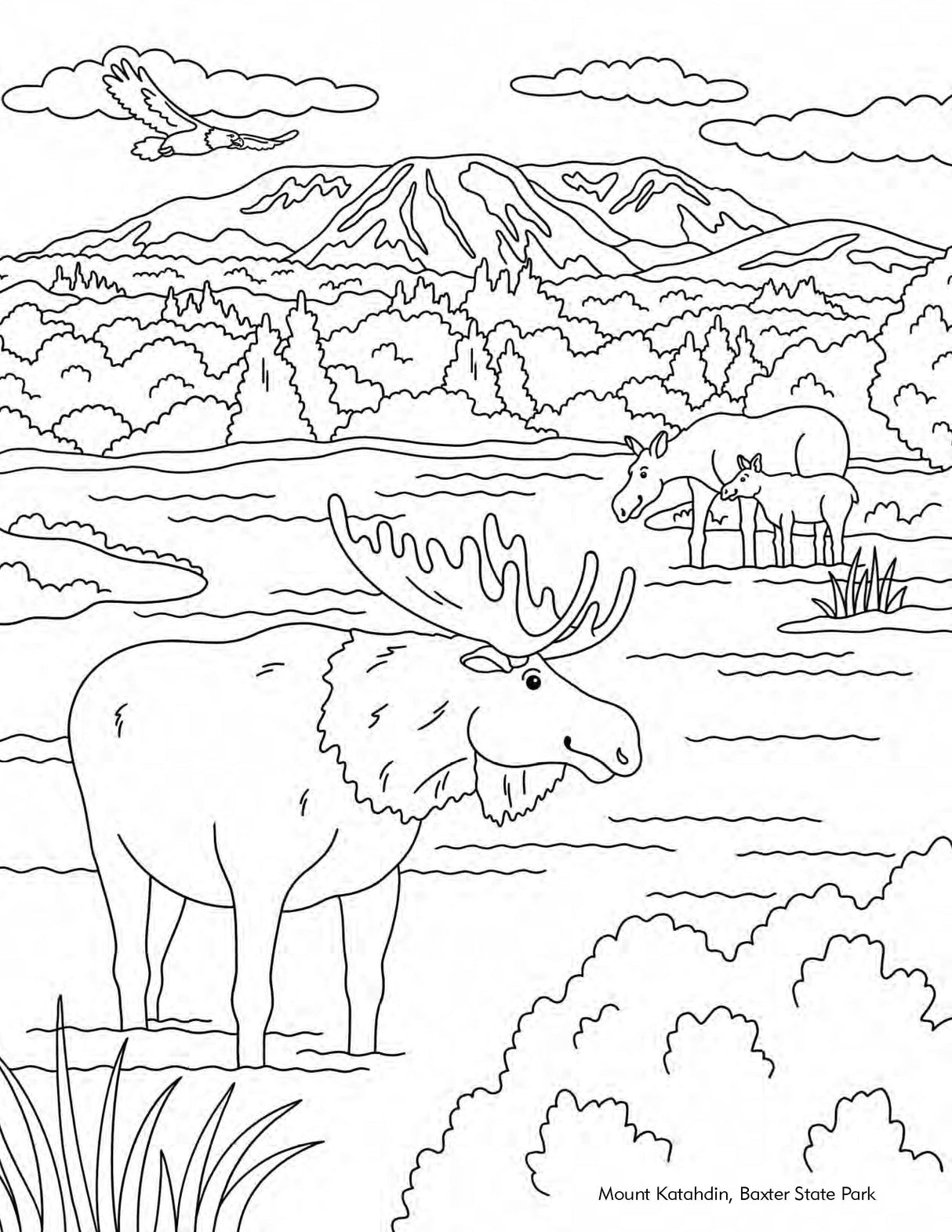 Color Me in Maine: A Coloring Book for All Ages