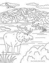 Color Me in Maine: A Coloring Book for All Ages