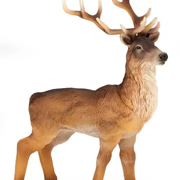 Stag