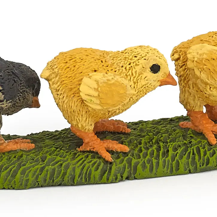 Chicks