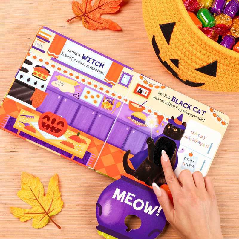 Happy Howloween (with Touch & Feel Surprise Flaps!) by Dienesa Le