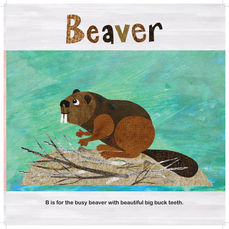 New England Animals A to Z