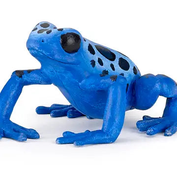 Equatorial Blue Frog