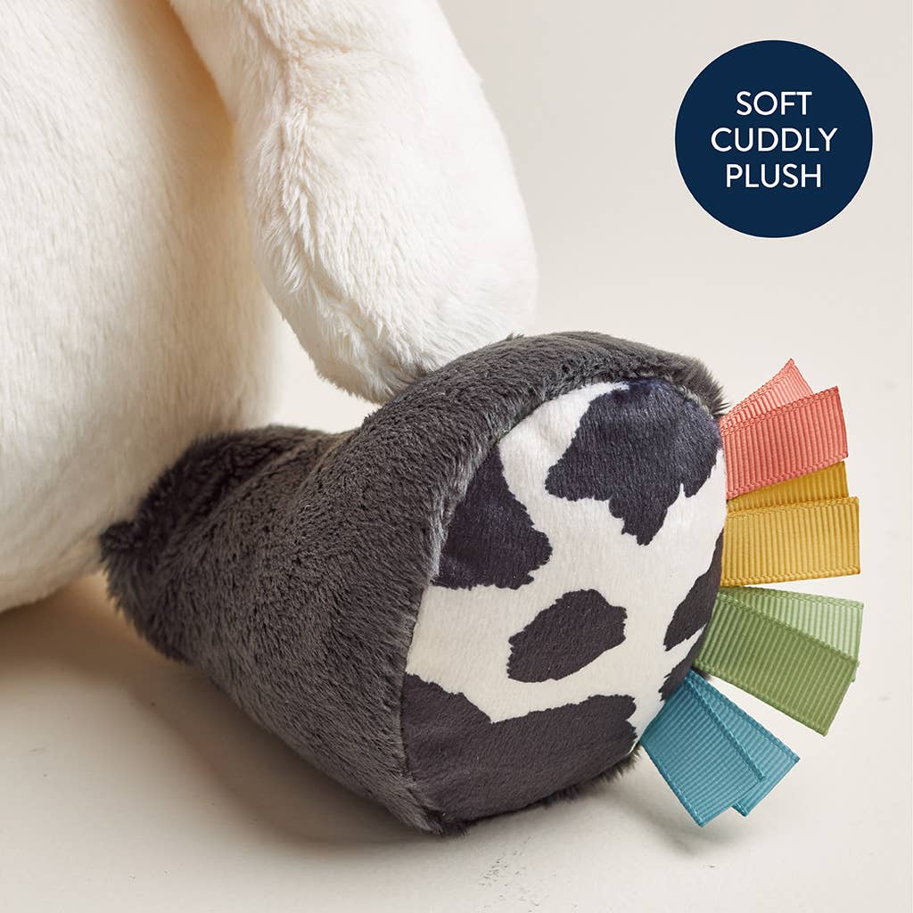Sweetie Snuggles™ Plush