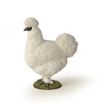 Silkie Chicken
