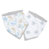 Aden + Anais Muslin Bandana 2pk Bib