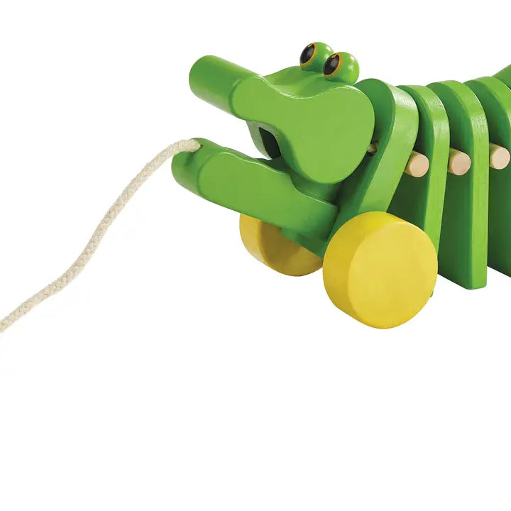 Dancing Alligator