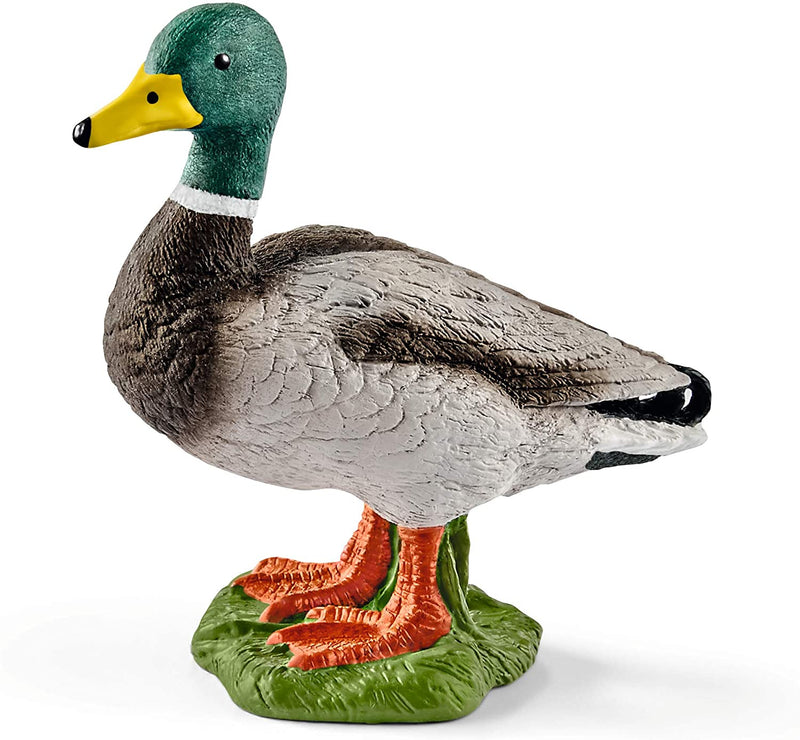 Schleich Drake Duck