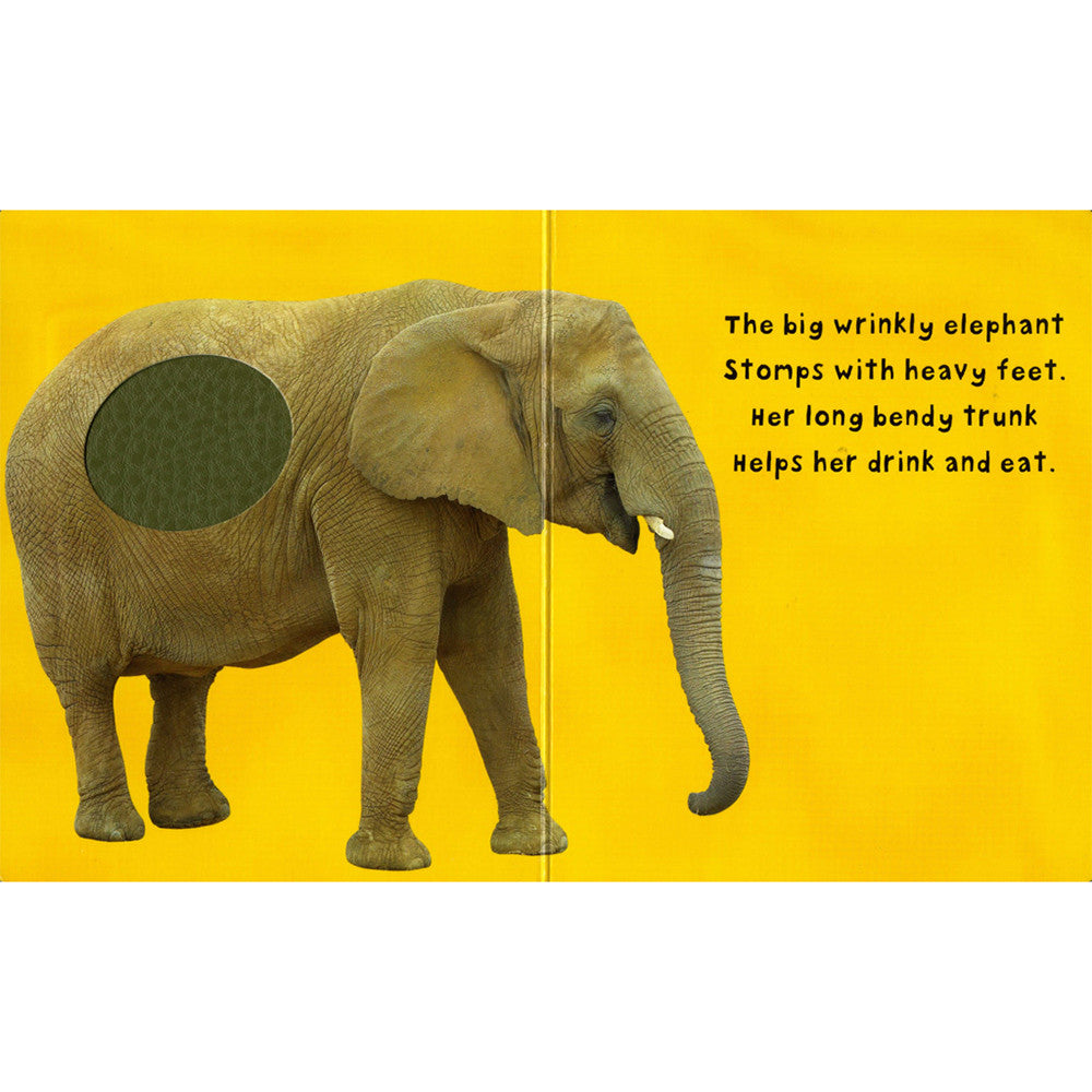 Bright Baby Touch & Feel: Zoo - Tadpole