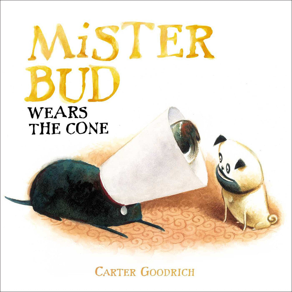 Mister Bud Wears The Cone