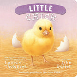 Little Chick - Tadpole