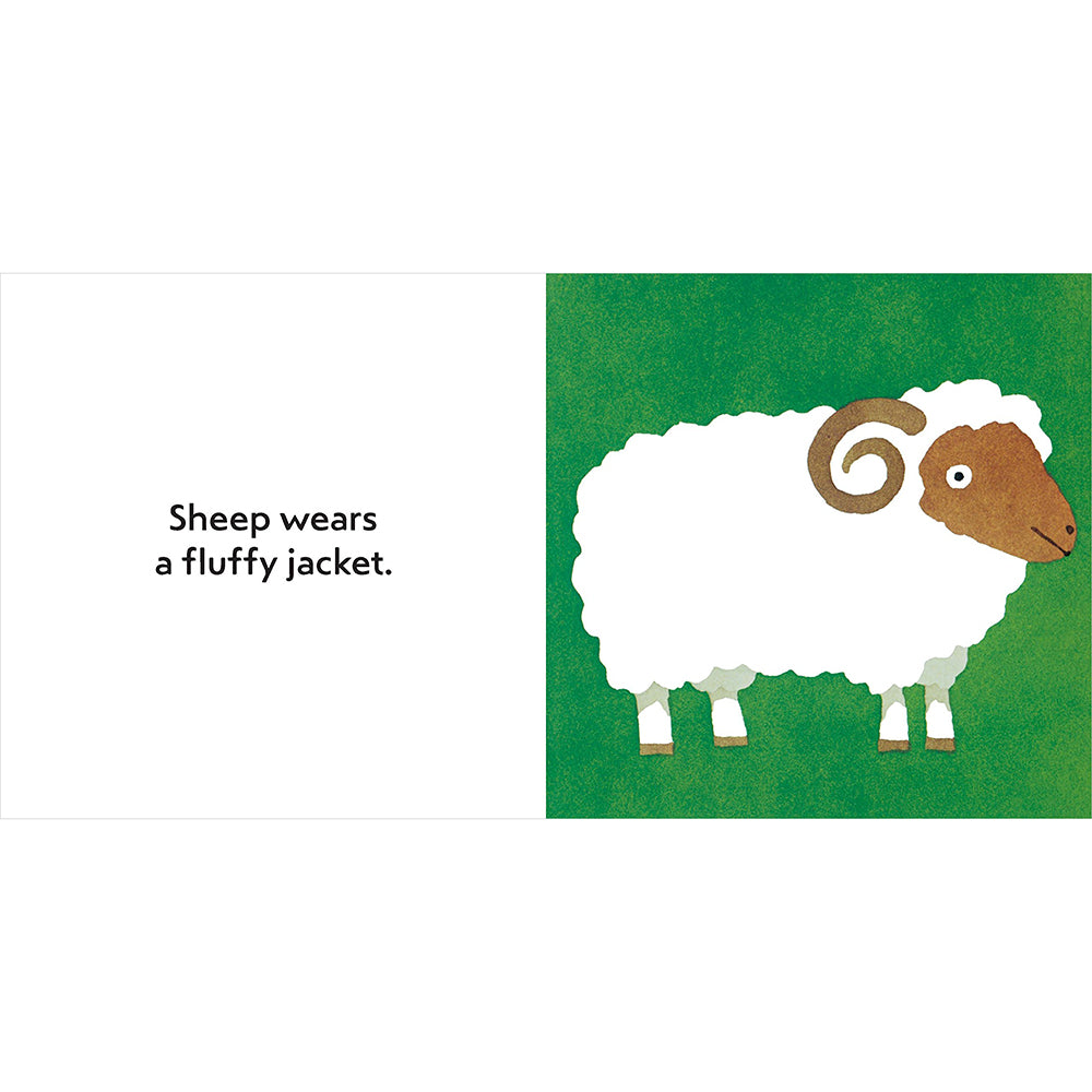 What Do You Wear? - Tadpole